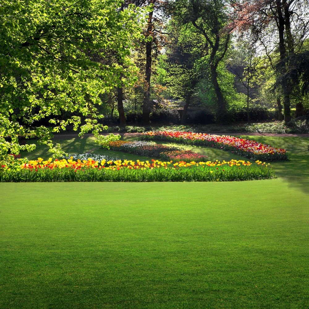 Landscaping Works