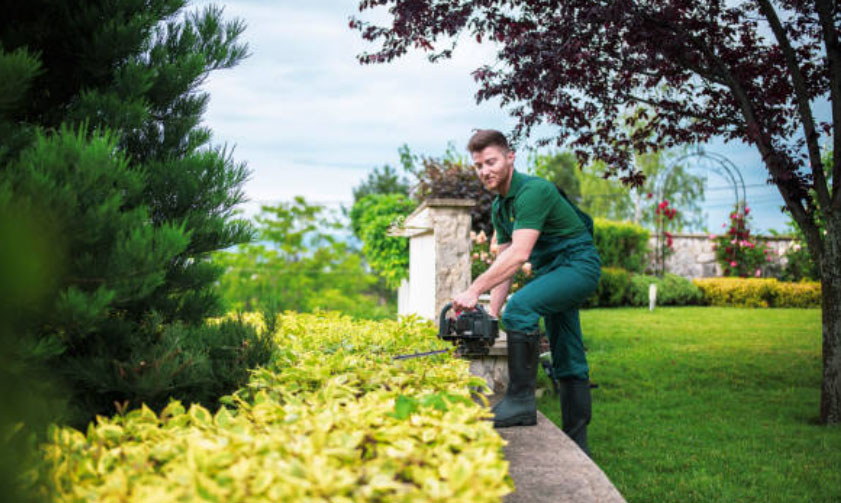 Garden Maintenance